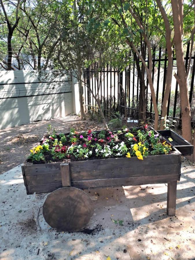 Hoopoe Haven Guest House Chartwell Ngoại thất bức ảnh